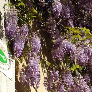 Locanda Sant'Anna Hotel